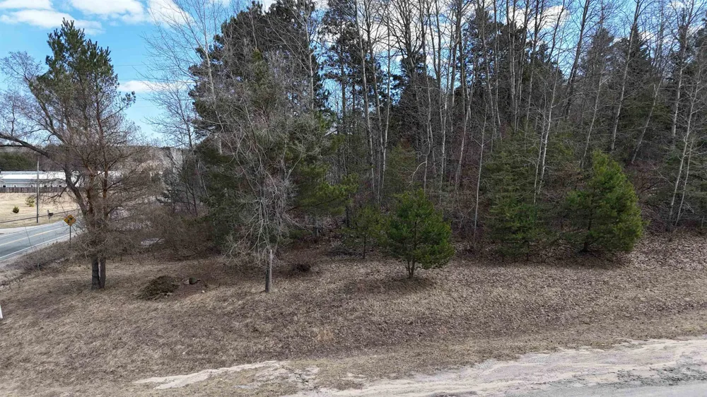 S Whispering Hills Drive Bingham Township, MI 49684
