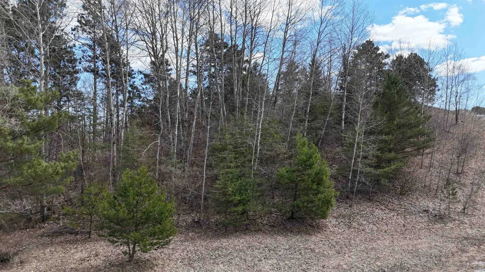 S Whispering Hills Drive Bingham Township, MI 49684