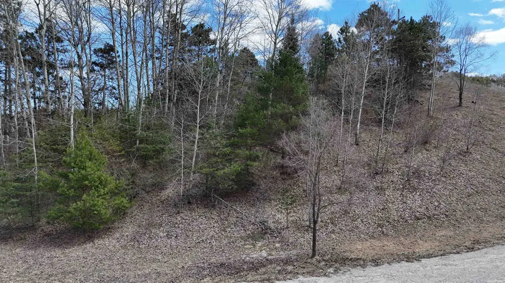 S Whispering Hills Drive Bingham Township, MI 49684