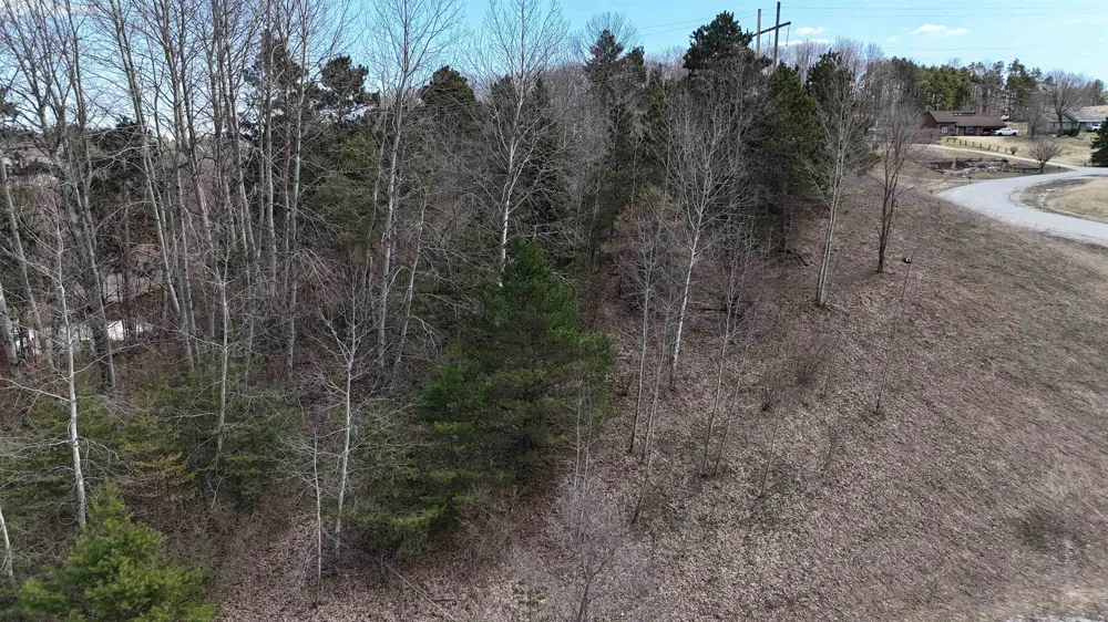 S Whispering Hills Drive Bingham Township, MI 49684