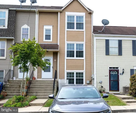 29 DALE DRIVE