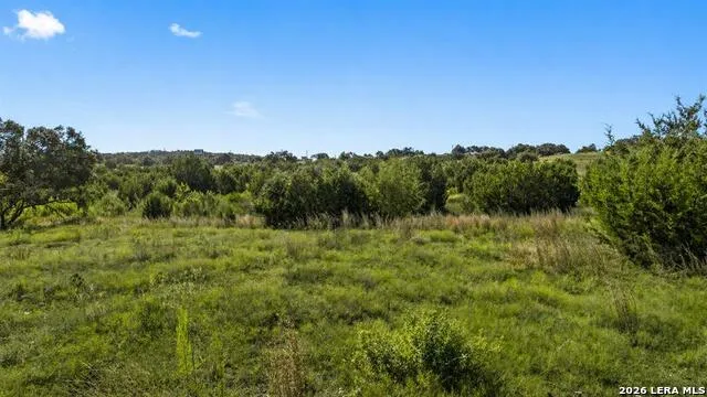 386 Appaloosa Run Round Mountain, TX 78663