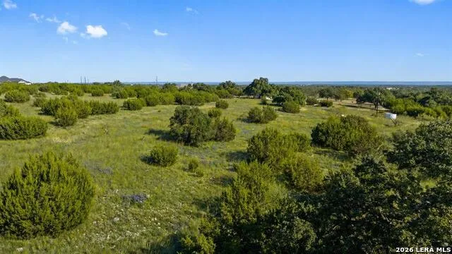 386 Appaloosa Run Round Mountain, TX 78663