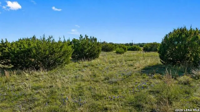 386 Appaloosa Run Round Mountain, TX 78663