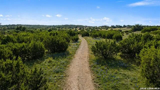 386 Appaloosa Run Round Mountain, TX 78663