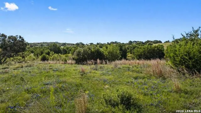 386 Appaloosa Run Round Mountain, TX 78663