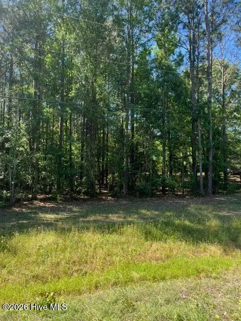 0 Cobbham Road Appling, GA 30802
