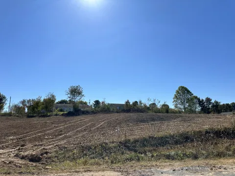 41 County Road 537