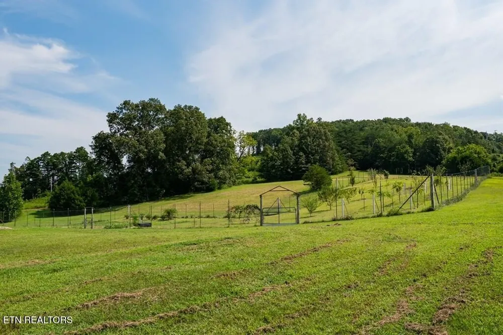 1518 Cummingsville And Sparkman Rd Doyle, TN 38559