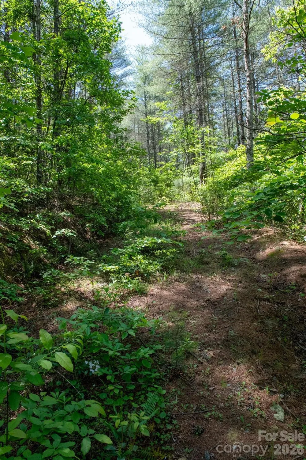 000 Narrow Gauge Drive #18 Lenoir, NC 28645