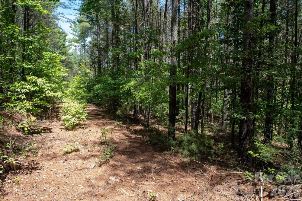 000 Narrow Gauge Drive #18 Lenoir, NC 28645