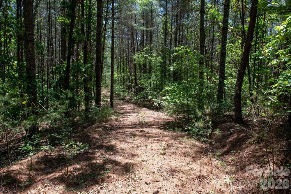 000 Narrow Gauge Drive #18 Lenoir, NC 28645
