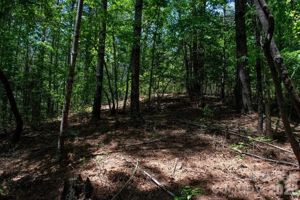 000 Narrow Gauge Drive #18 Lenoir, NC 28645