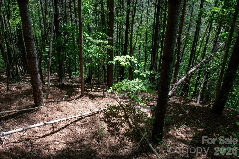000 Narrow Gauge Drive #18 Lenoir, NC 28645
