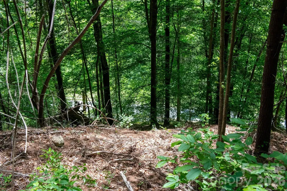 000 Narrow Gauge Drive #18 Lenoir, NC 28645