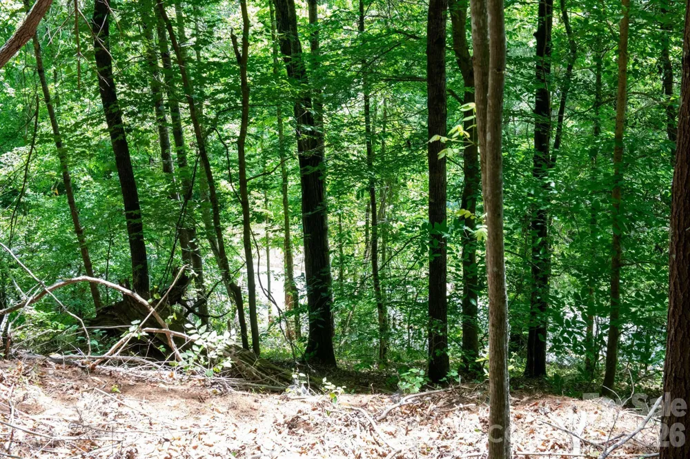 000 Narrow Gauge Drive #18 Lenoir, NC 28645