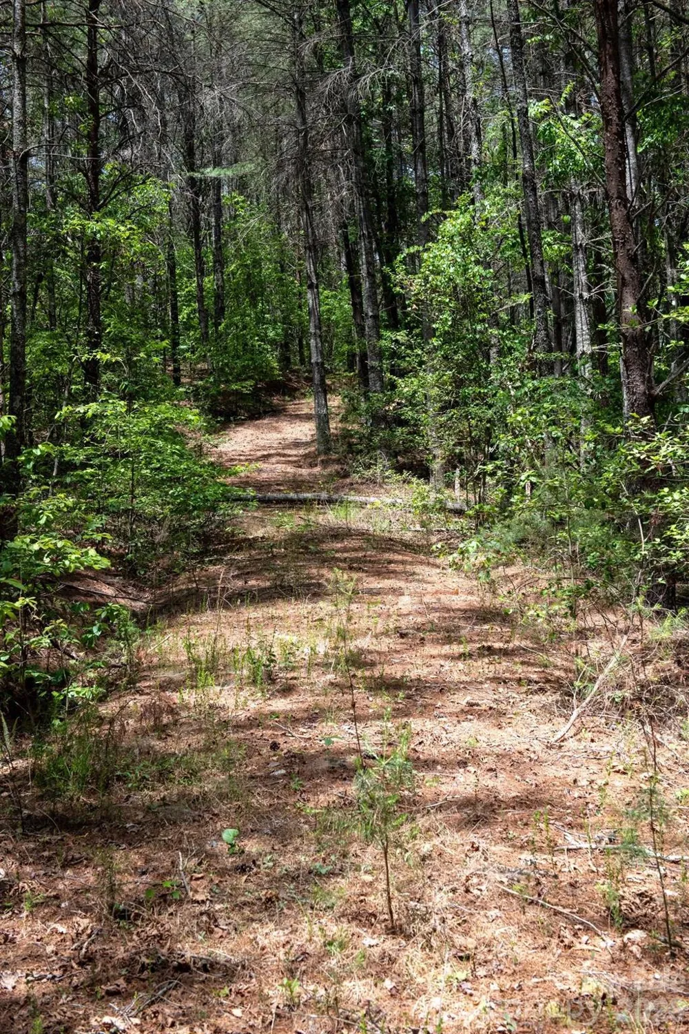 000 Narrow Gauge Drive #18 Lenoir, NC 28645