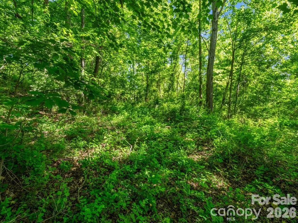 88 Hamilton Acres Drive Hendersonville, NC 28791
