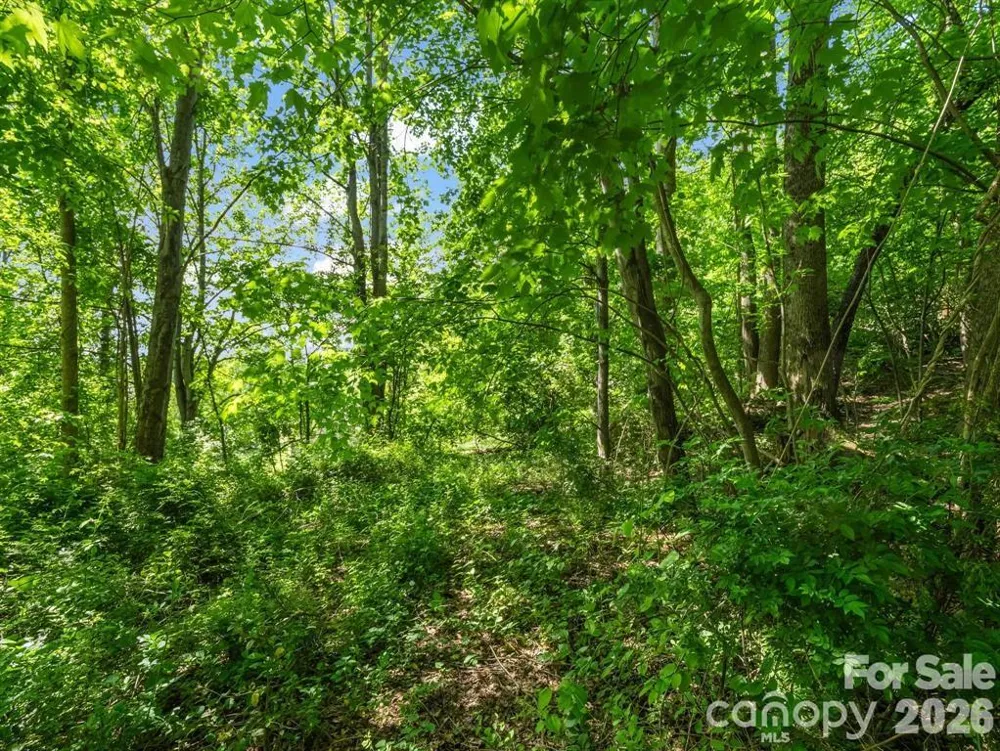 88 Hamilton Acres Drive Hendersonville, NC 28791