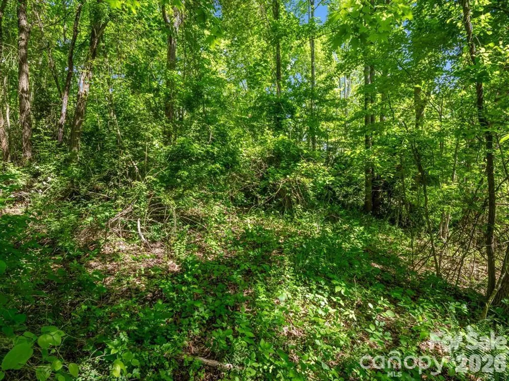 00 Hamilton Acres Drive Hendersonville, NC 28792