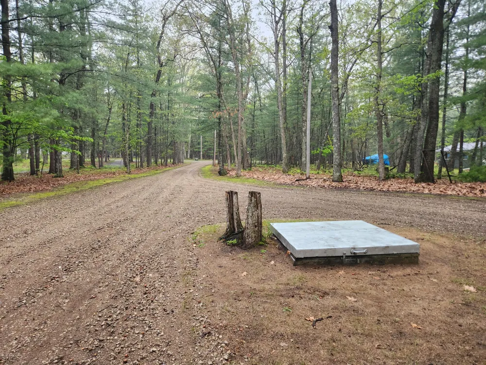 9918 S Rebecca Road Lake Township, MI 49304