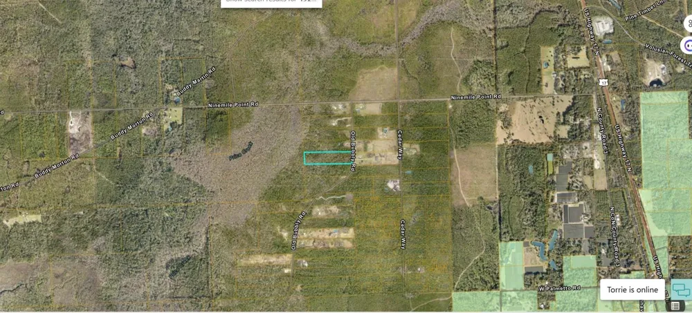 820 OLD BUBBLY ROAD Pierson, FL 32180