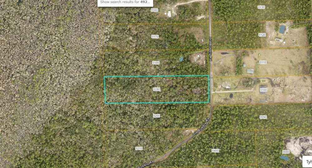 820 OLD BUBBLY ROAD Pierson, FL 32180