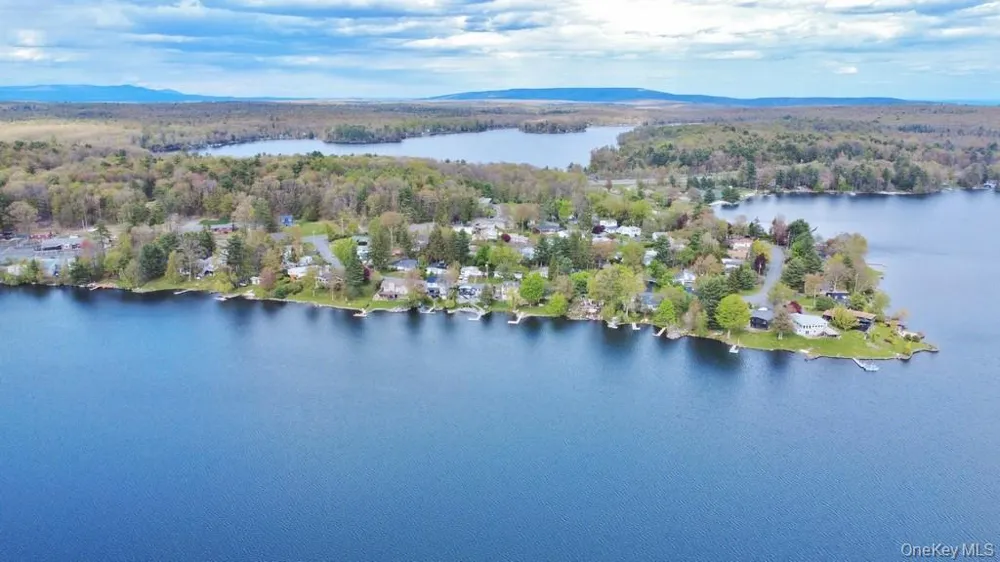 116 Lake Shore Drive W Rock Hill, NY 12775