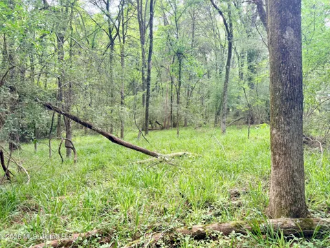 Clinton-tinnin Road