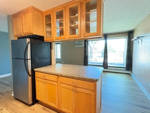 4110 RAHN ROAD #221 Eagan, MN 55122
