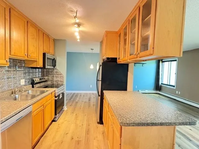 4110 RAHN ROAD #221 Eagan, MN 55122