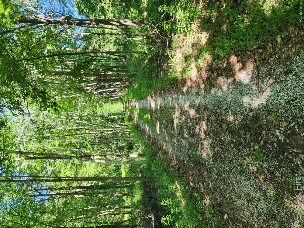 Vacant Land W Olsen Road Lee Township, MI 48657