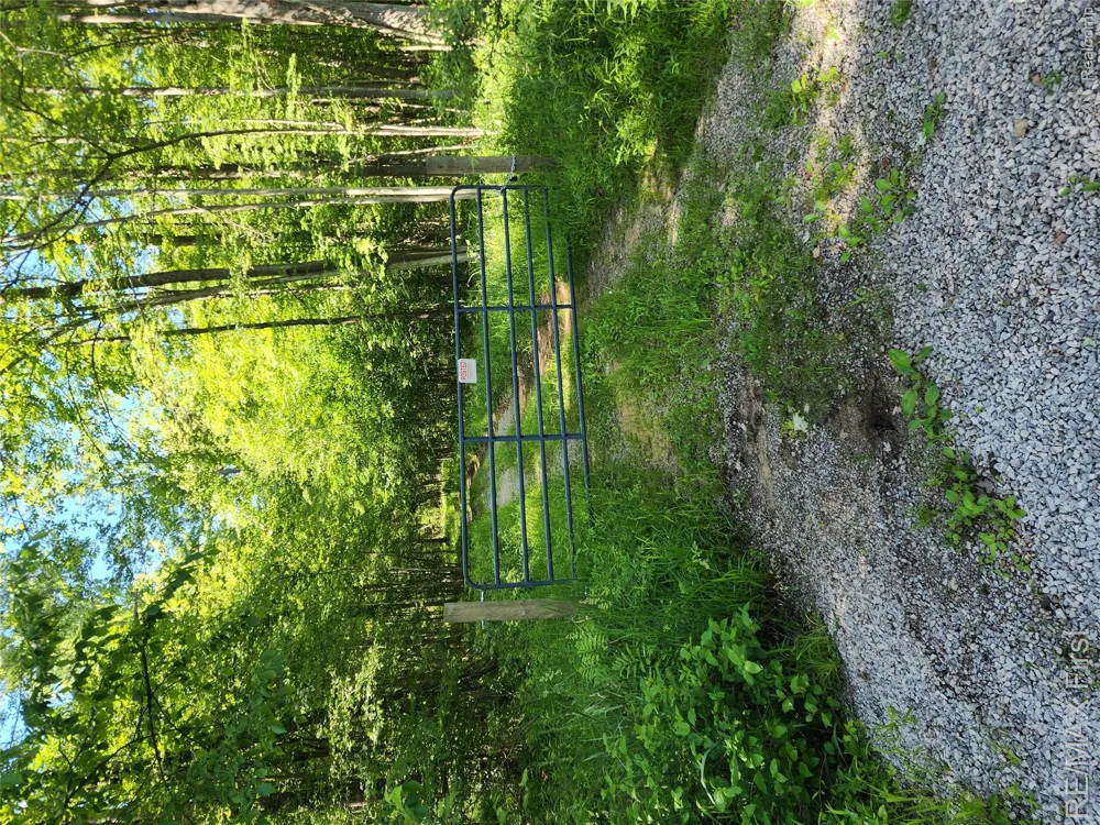 Vacant Land W Olsen Road Lee Township, MI 48657
