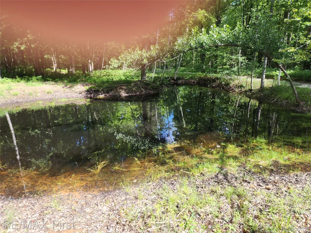 Vacant Land W Olsen Road Lee Township, MI 48657