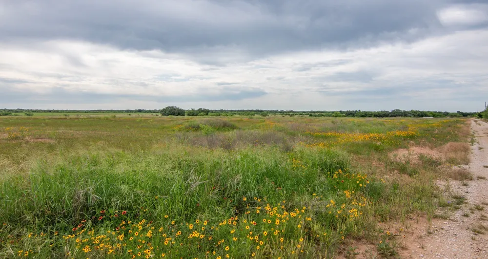 6187 Fm 586 Bangs, TX 76823