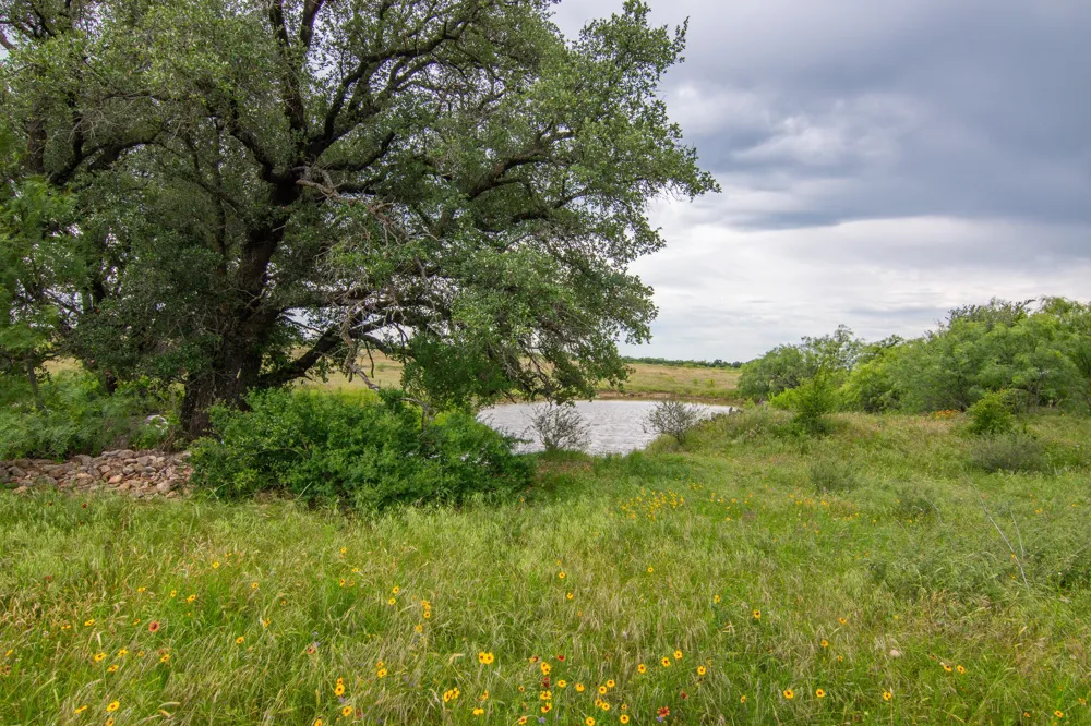 6187 Fm 586 Bangs, TX 76823
