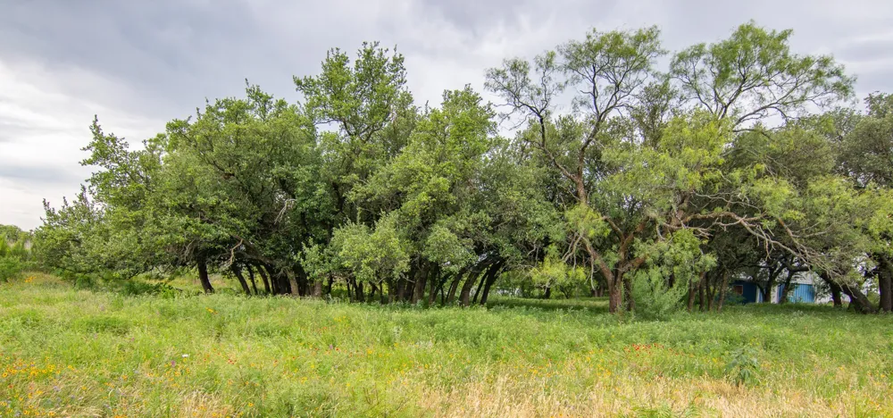 6187 Fm 586 Bangs, TX 76823
