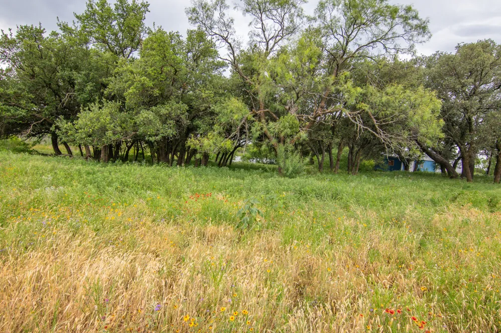 6187 Fm 586 Bangs, TX 76823