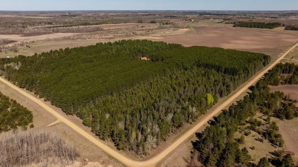 25388 148th Street Staples, MN 56479