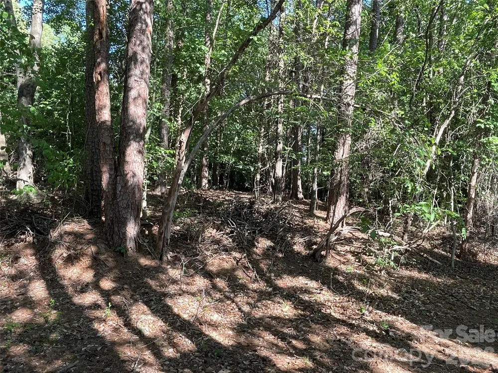 0 Lockhard Circle Troutman, NC 28166