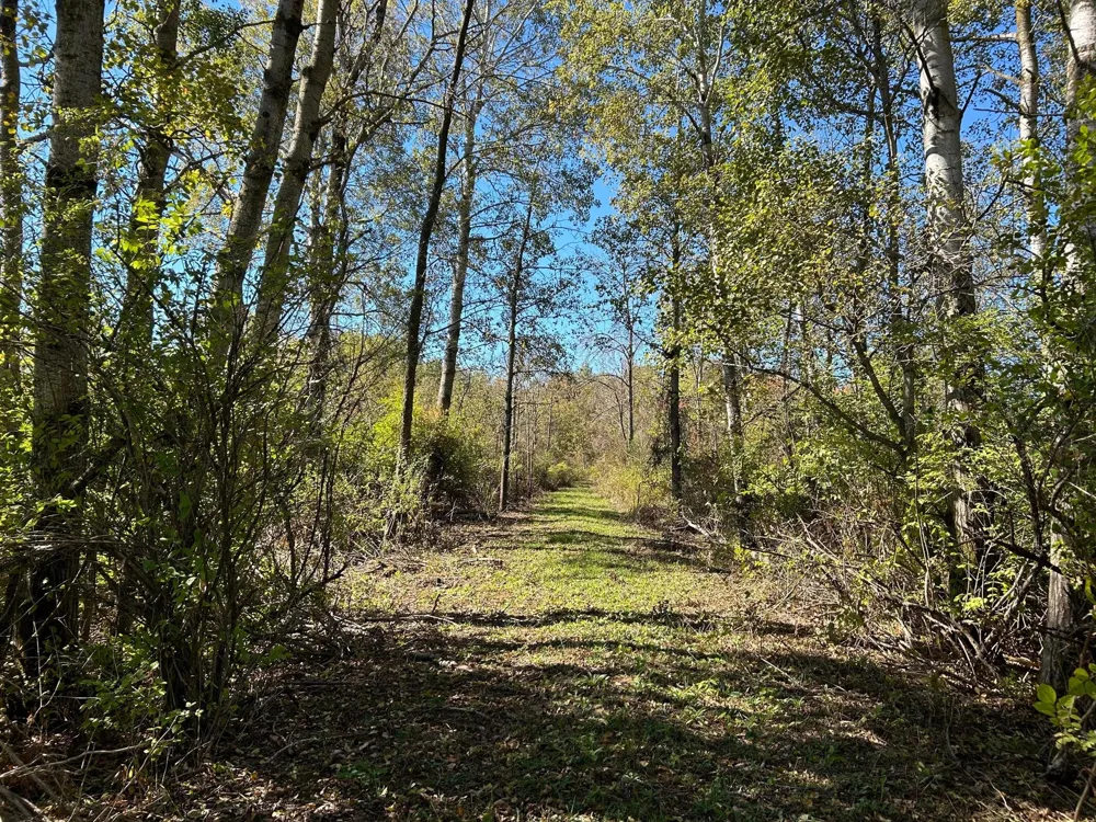 30th Avenue Remus, MI 49340