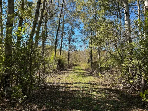 30th Avenue