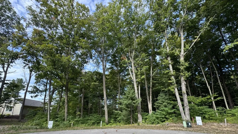 14672 Crest View Court South Haven Charter Township, MI 49090