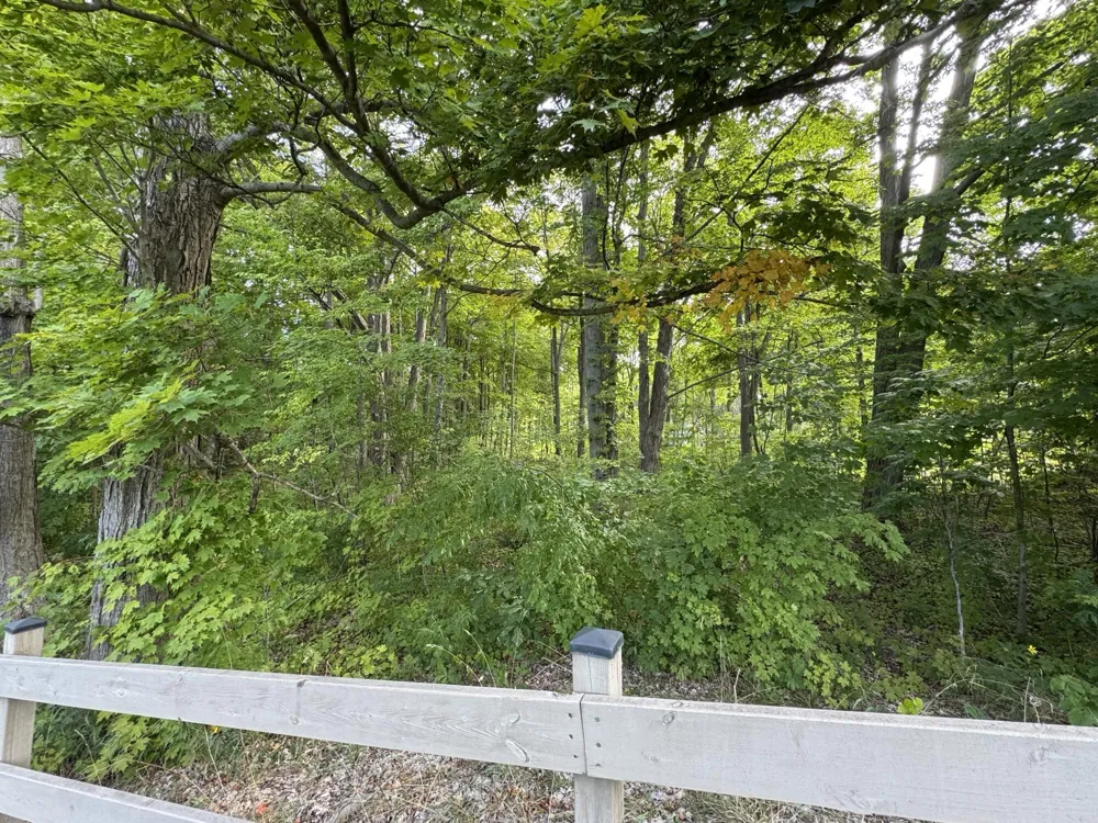 14672 Crest View Court South Haven Charter Township, MI 49090
