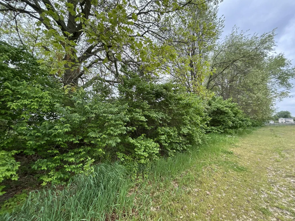 House Street NE Belmont, MI 49306
