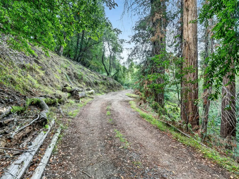 31 Red Rock Way San Rafael, CA 94903