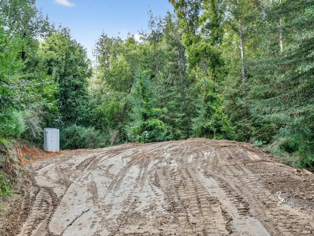 31 Red Rock Way San Rafael, CA 94903