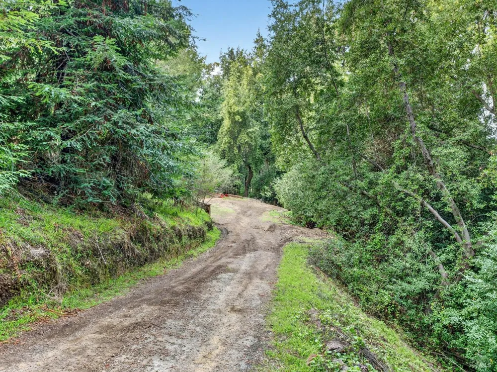 31 Red Rock Way San Rafael, CA 94903