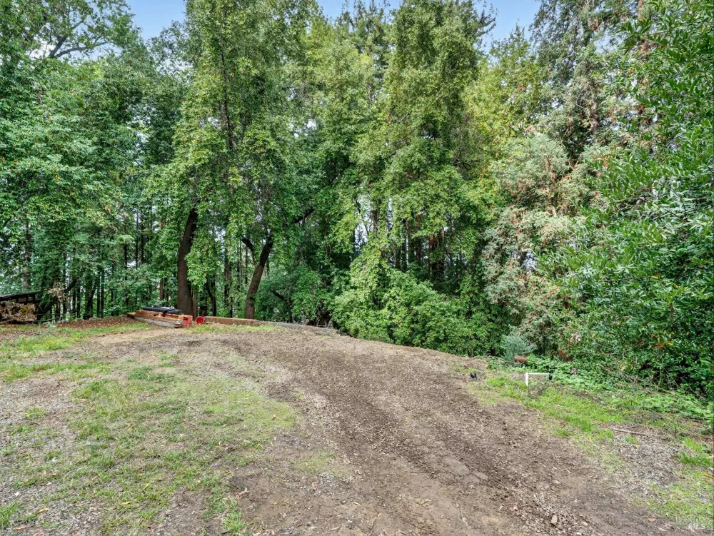 31 Red Rock Way San Rafael, CA 94903