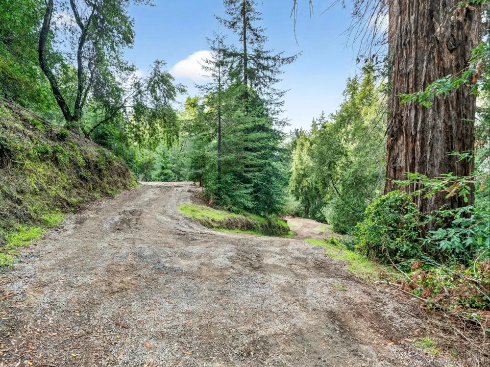 31 Red Rock Way San Rafael, CA 94903